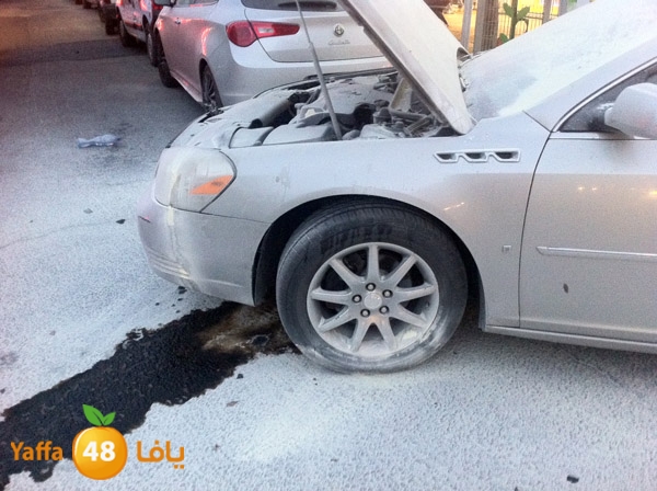 fireincarnew320 (1).JPG